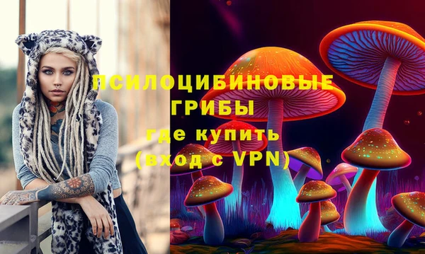 соль курить ск Богородск