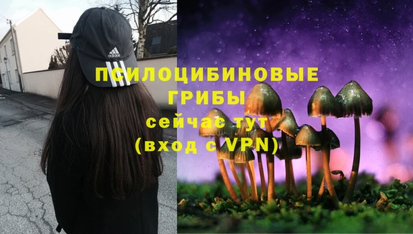 ПСИЛОЦИБИНОВЫЕ ГРИБЫ Белоозёрский